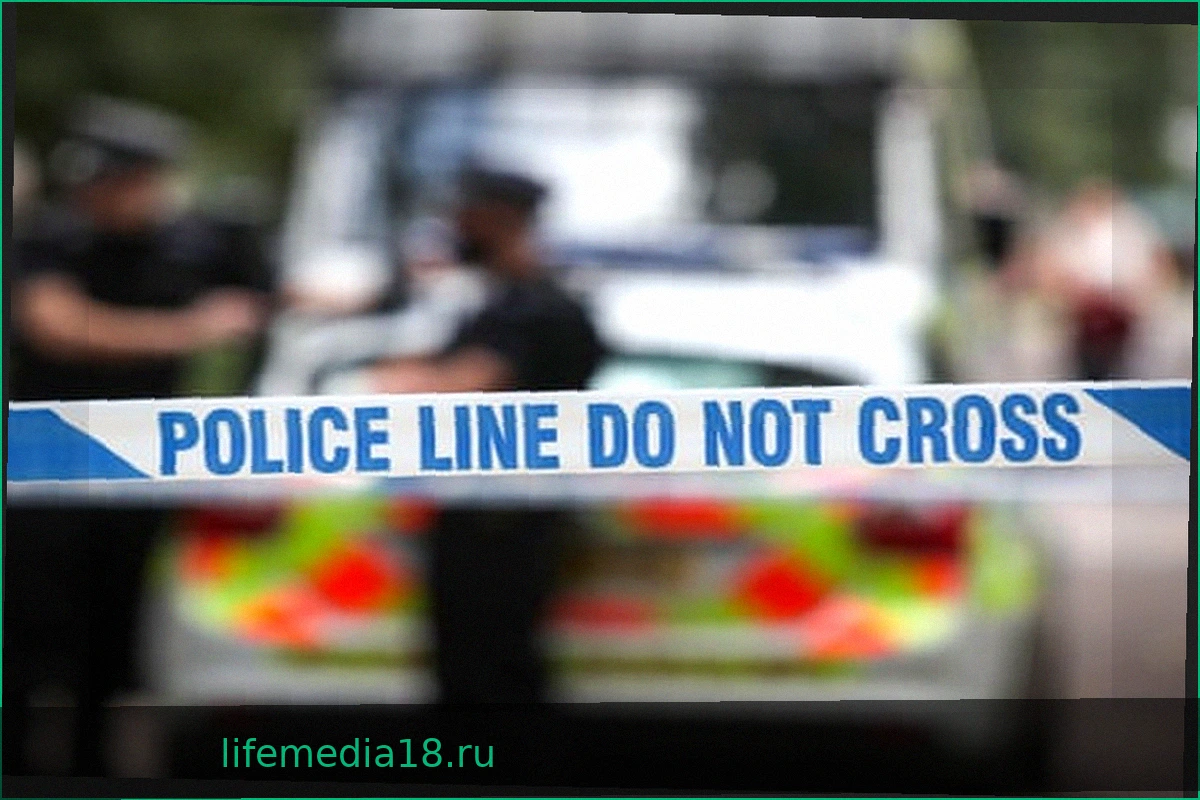 Двое полицейских погибли в результате ДТП в Северном Йоркшире