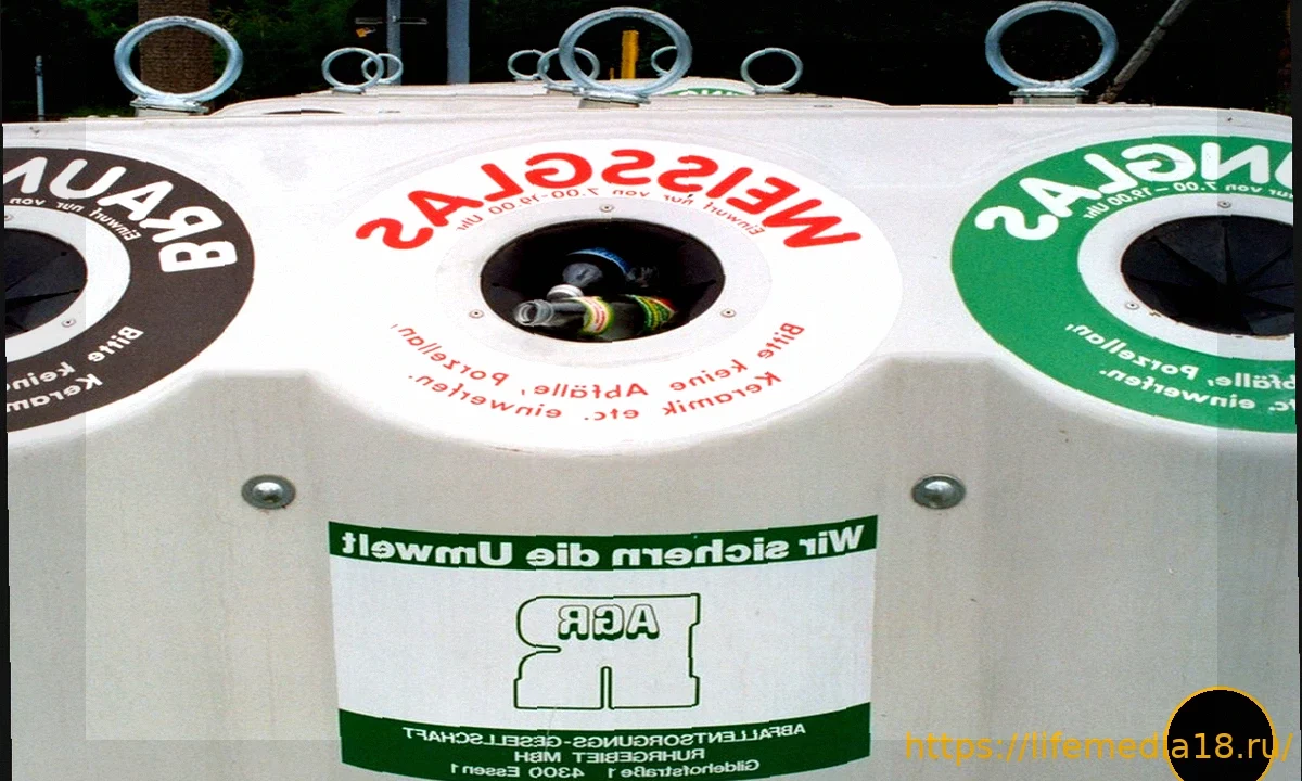 Выставка «Мусор»: Художественный взгляд на потребление и устойчивость